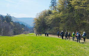 69c5b06199517_Arnans06.jpg