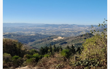 Oingt mardi 22 septembre